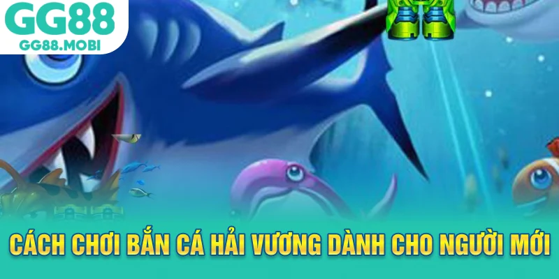 Cách chơi bắn cá hải vương dành cho người mới